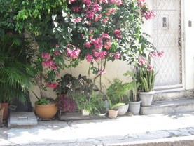 Home in Rio, Rio de Janeiro