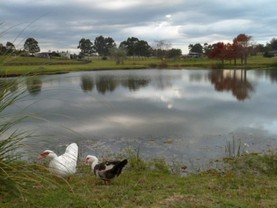 Chacra El Quijote, Barra de Maldonado