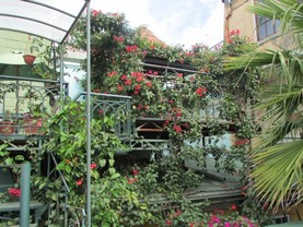 Casa Jardin Kalhari, Valparaíso