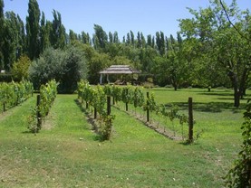 De Bouche A Oreille, San Rafael