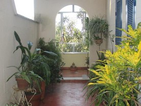 Studio Selma e Luiz, Rio de Janeiro