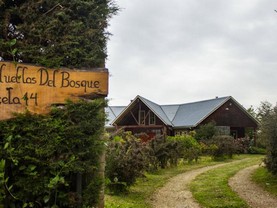 Ecohostal Huellas del Bosque, Valdivia