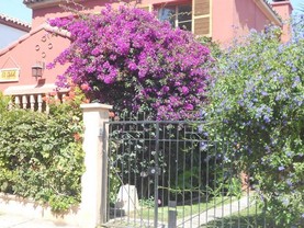 Hostal El Arbol, La Serena