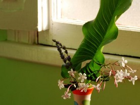 Anilu Hospedaje, Valparaíso