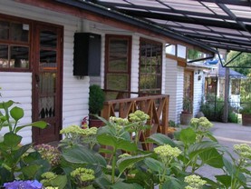 Cabañas Pétalos, Villarrica