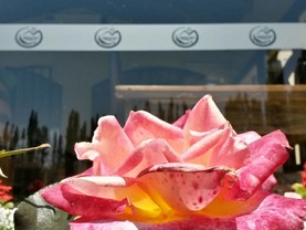 Pilgrim's Rest - Descanso del Peregrino, Chacras De Coria