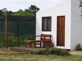 Yuyito del diablo, Punta Del Diablo