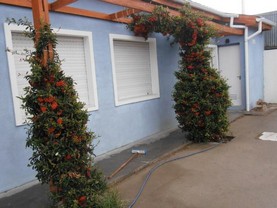 Hosteria Posada Drake, Puerto San Julián