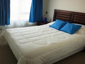 Santiago Lastarria Apartment, Santiago