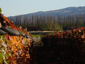 Lodge Atamisque, San José