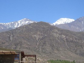 Las Margaritas, Potrerillos