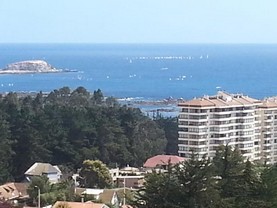 Departamento Laguna Vista - Algarrobo, Algarrobo