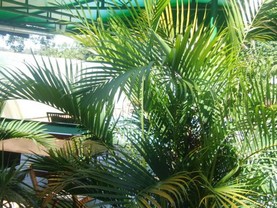 Pousada Naipi, Foz do Iguaçu