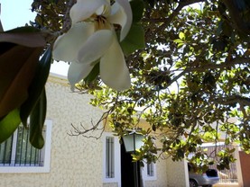 La Magnolia, Maipú