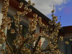 Hospedaje del Norte B&B, El Calafate
