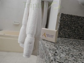 Argentino La Plata, La Plata